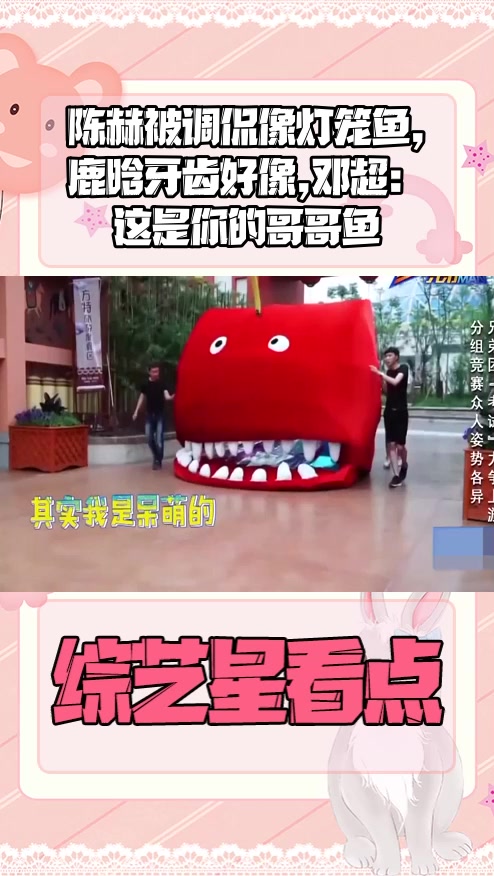 #明星综艺#陈赫被调侃像灯笼鱼,鹿晗牙齿好像,邓超:这是你的哥哥鱼