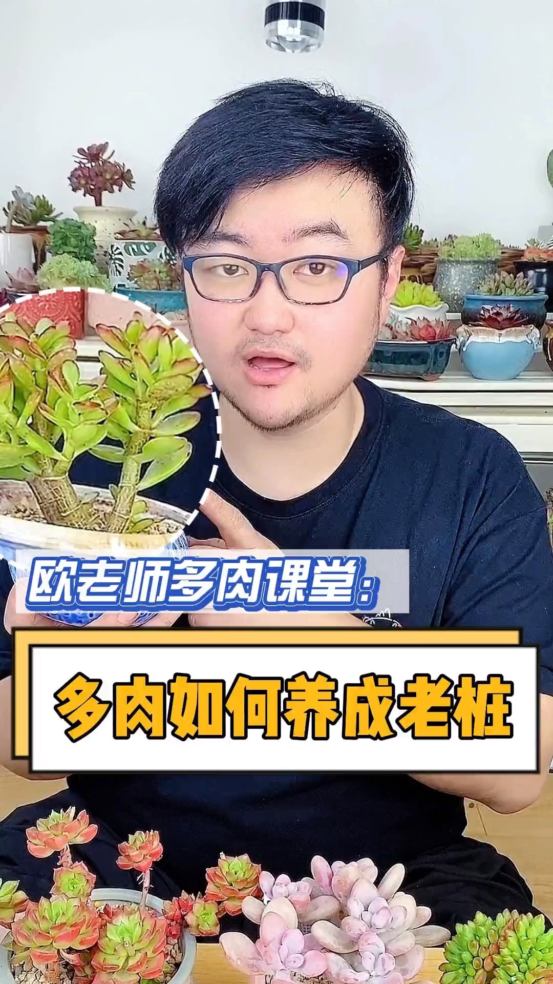 #多肉植物#想知道多肉如何快速养成老桩吗?这个视频教会你。