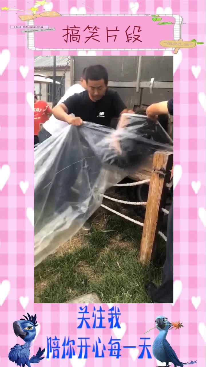 这片鱼塘被我承包了,搞笑视频