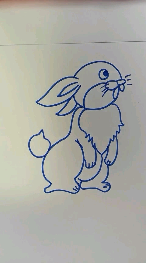 小兔子简笔画
