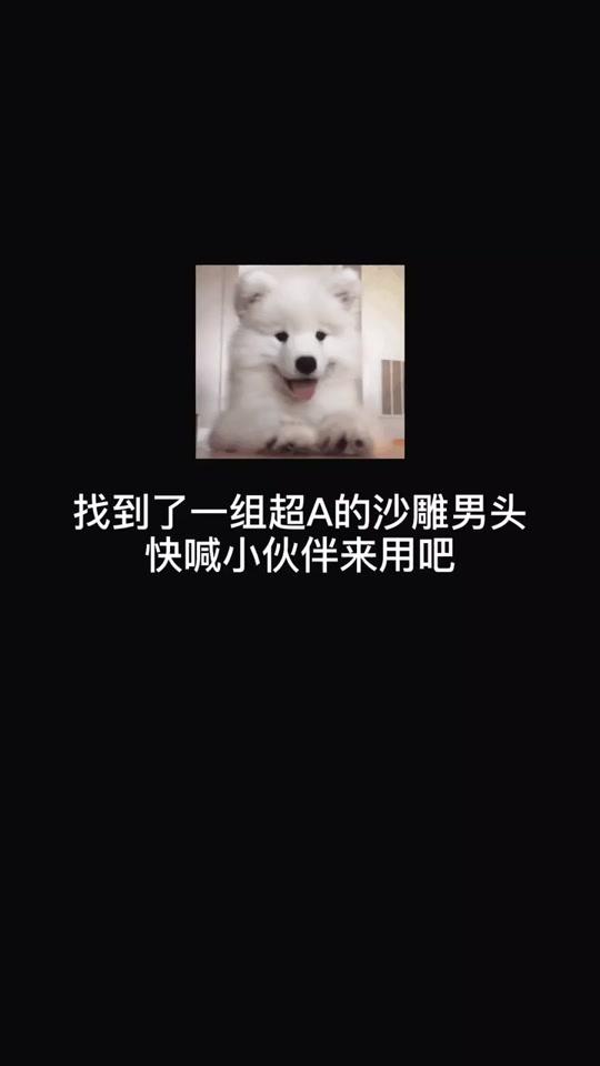 #头像 #男生头像 沙雕系列.@全民小视频小助手