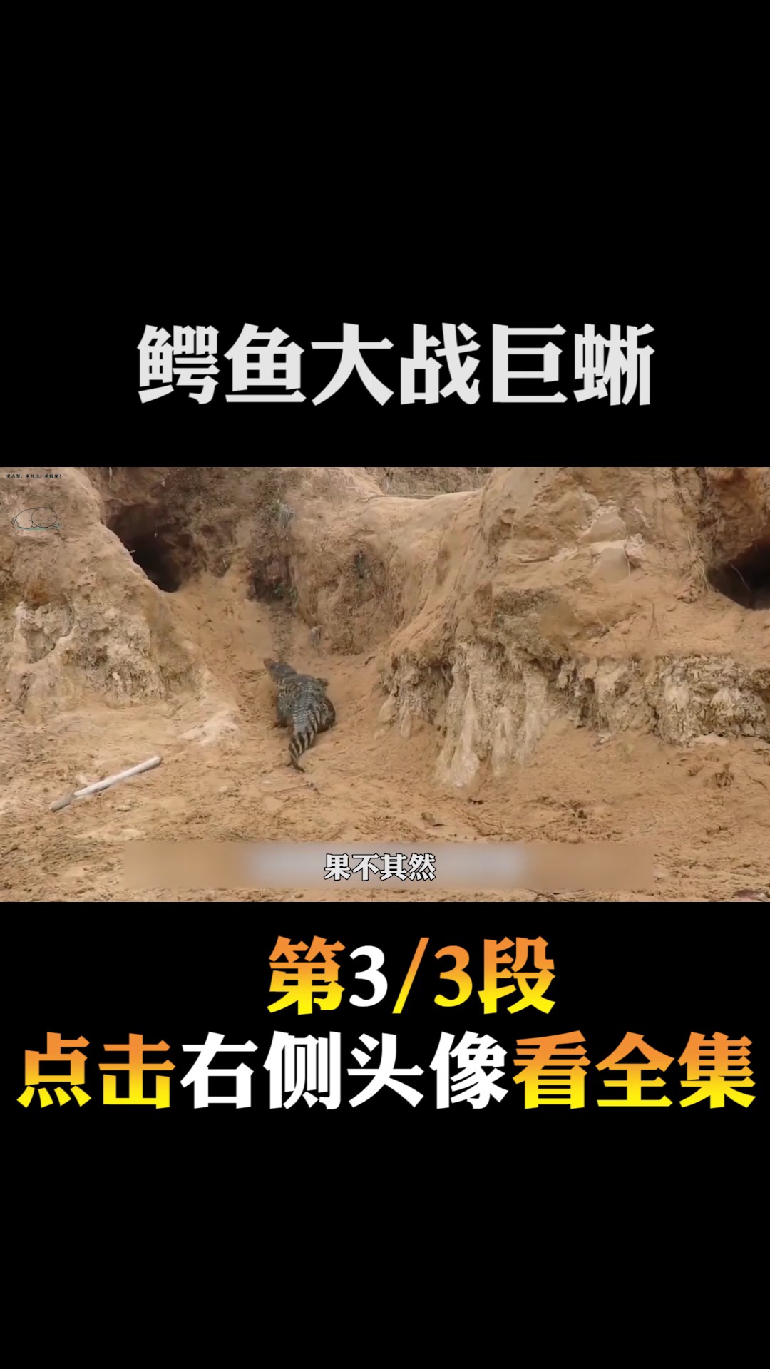 #动物世界#巨蜥闯入鳄鱼窝,鳄鱼大战巨蜥,巨蜥吓得狼狈逃跑!3