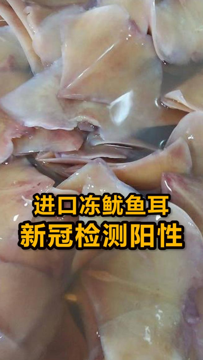 一进口冻鱿鱼耳新冠检测阳性!当地紧急开展排查