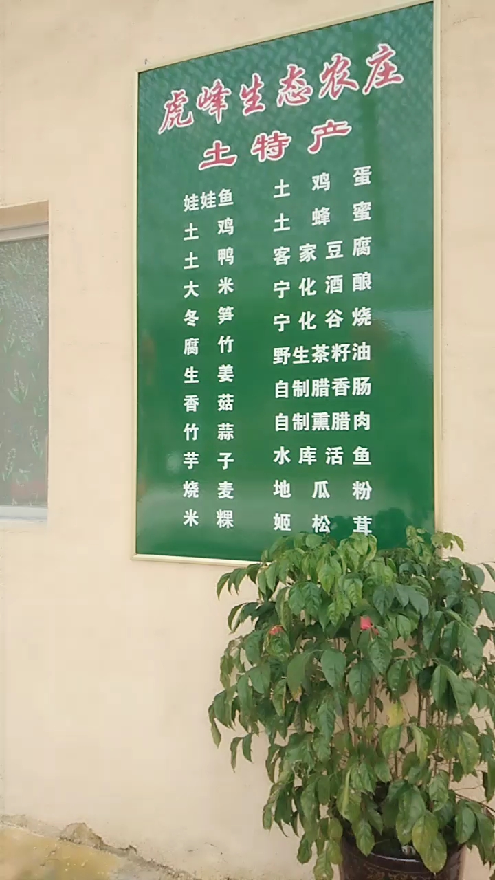 娃娃鱼土鸡蛋土鸡土蜂蜜土鸭客家豆腐。生姜野生茶籽油香菇自制腊香肠竹蒜自制熏腊肉