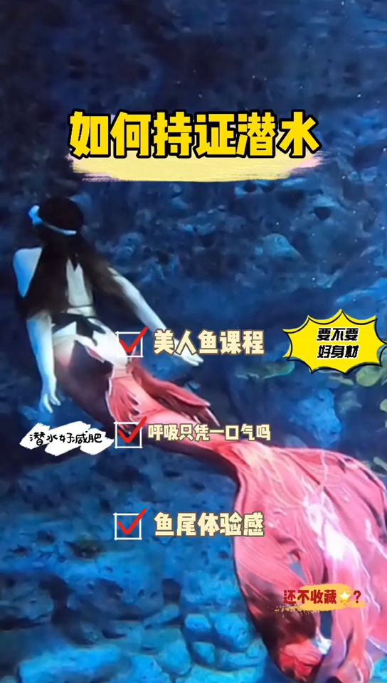 #美人鱼#我是小七,一个SSI持证的美人鱼,今天给大家介绍一下美人鱼是如何从报名到持证的~