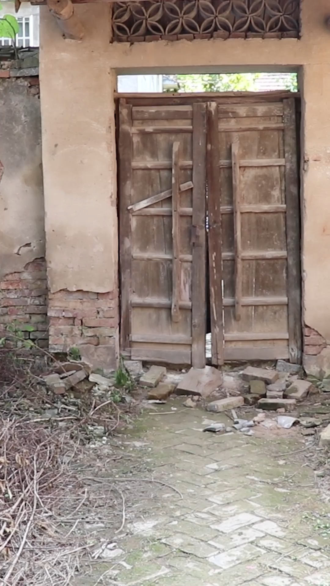 丑小鸭2:丑小鸭经过磨难,终于蜕变成了一只美丽的白天鹅!