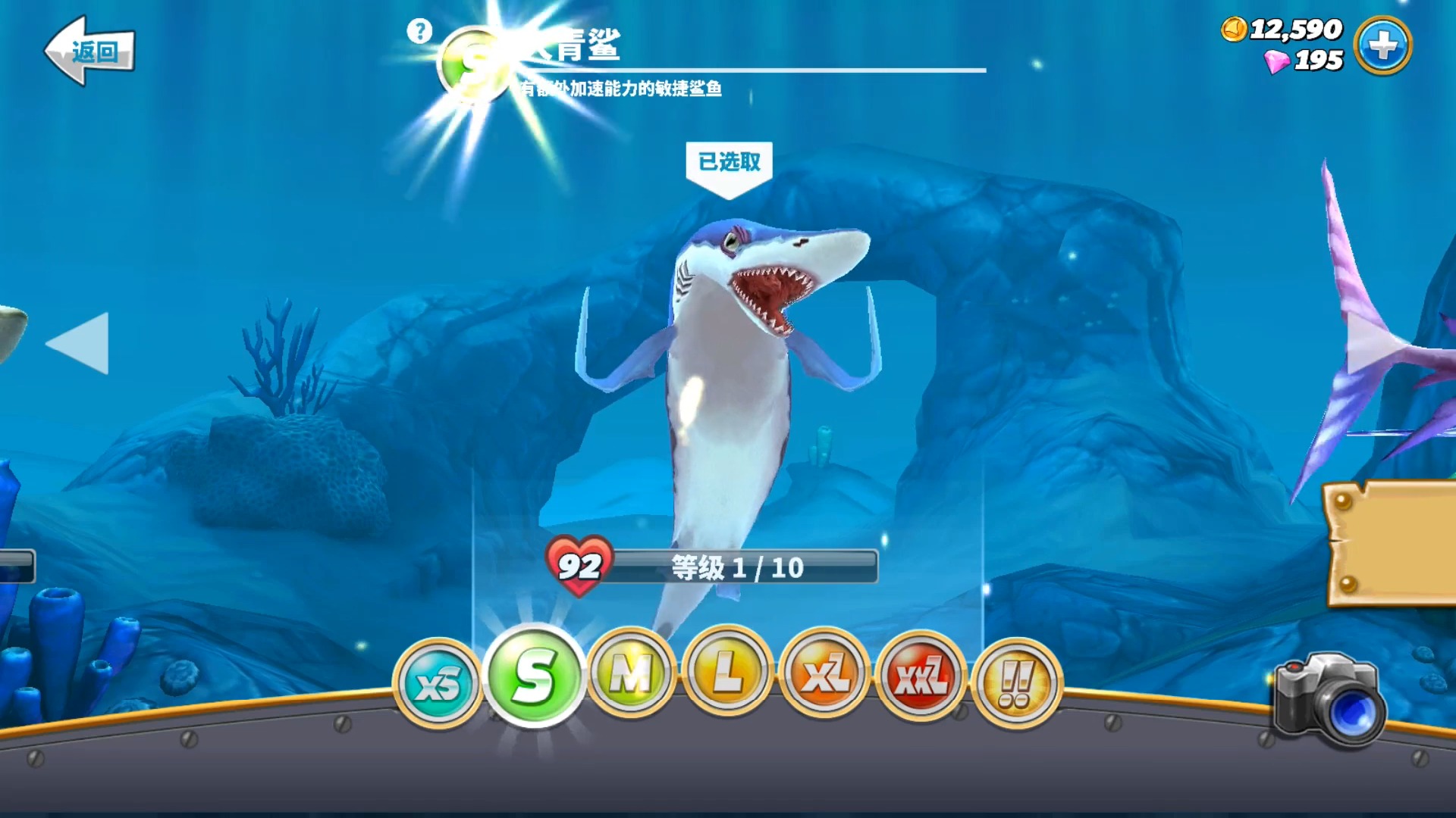 #综艺娱乐#饥饿鲨世界:解锁大青鲨,它是一条有额外加速能力的敏捷鲨鱼!