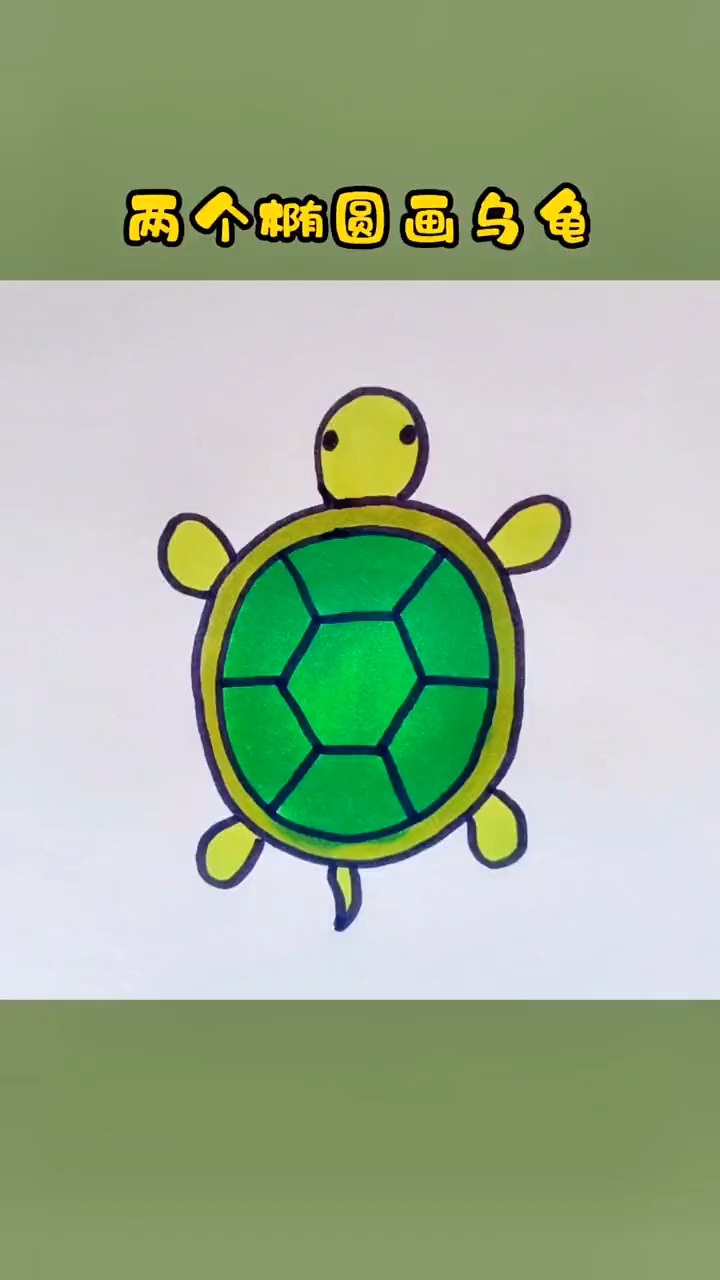 乌龟简笔画:两个椭圆画乌龟,你能学会的画法