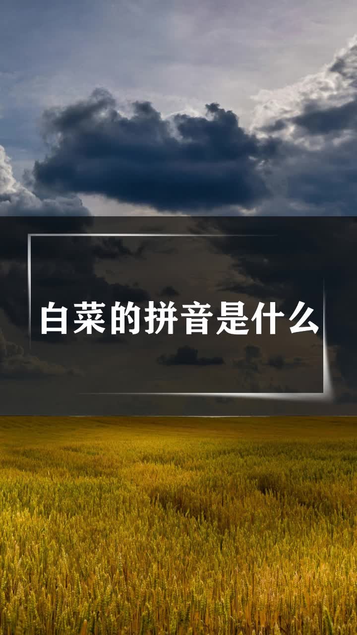 白菜的拼音是什么
