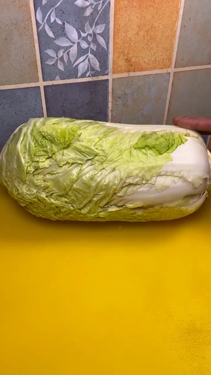 西红柿白菜炖牛肉