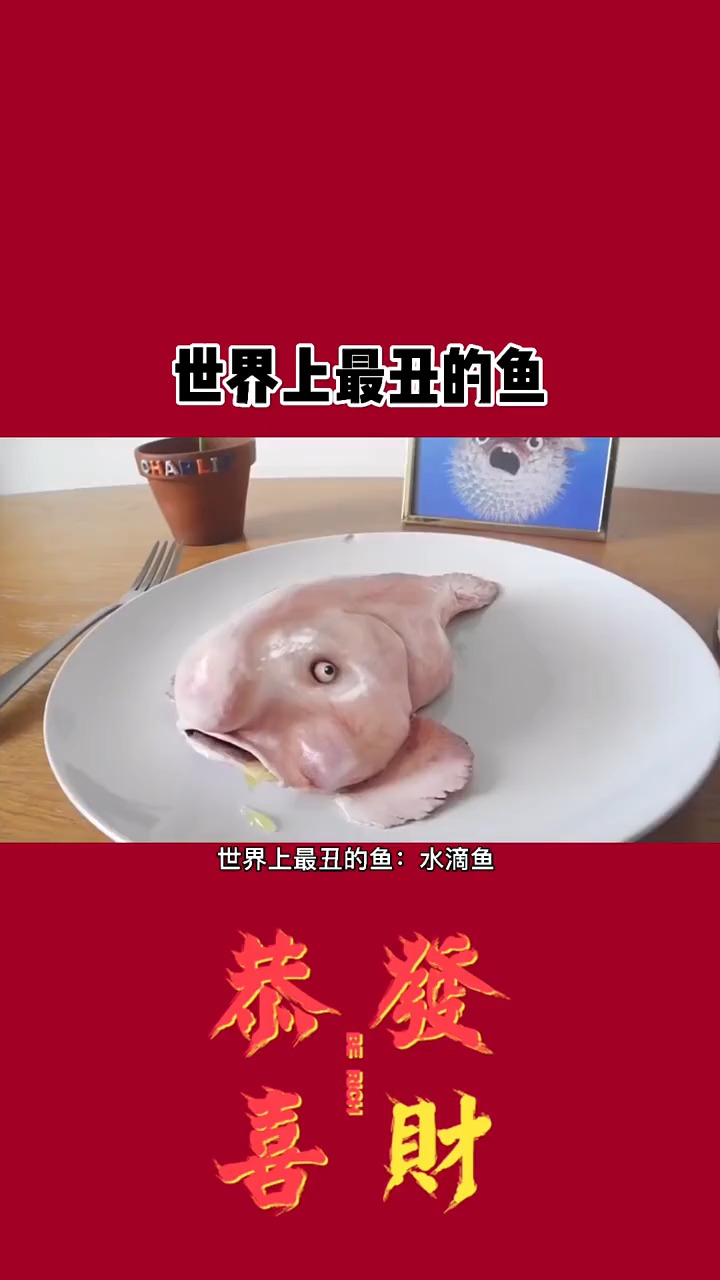 世界上最丑的鱼
