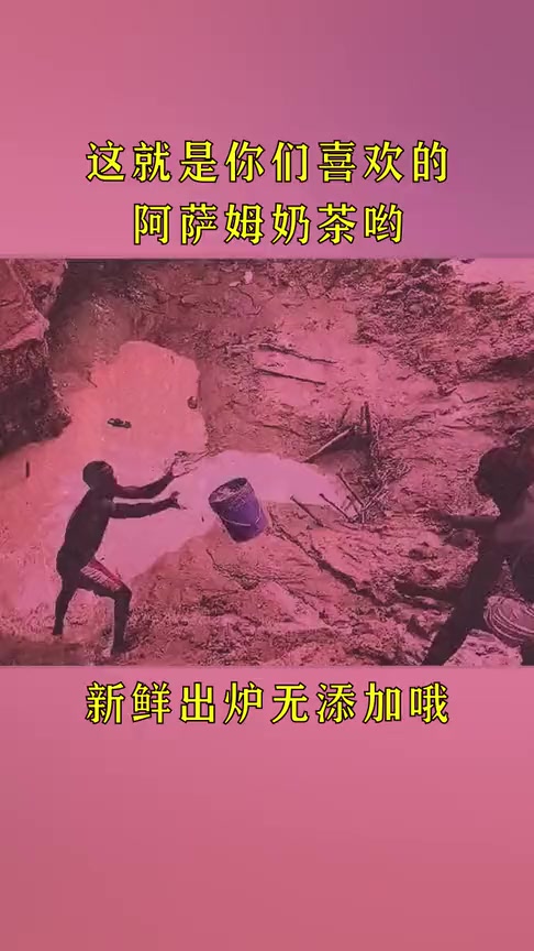 #搞笑段子#印度小伙接力干活,这就是你们喜欢的“阿萨姆奶茶”吗