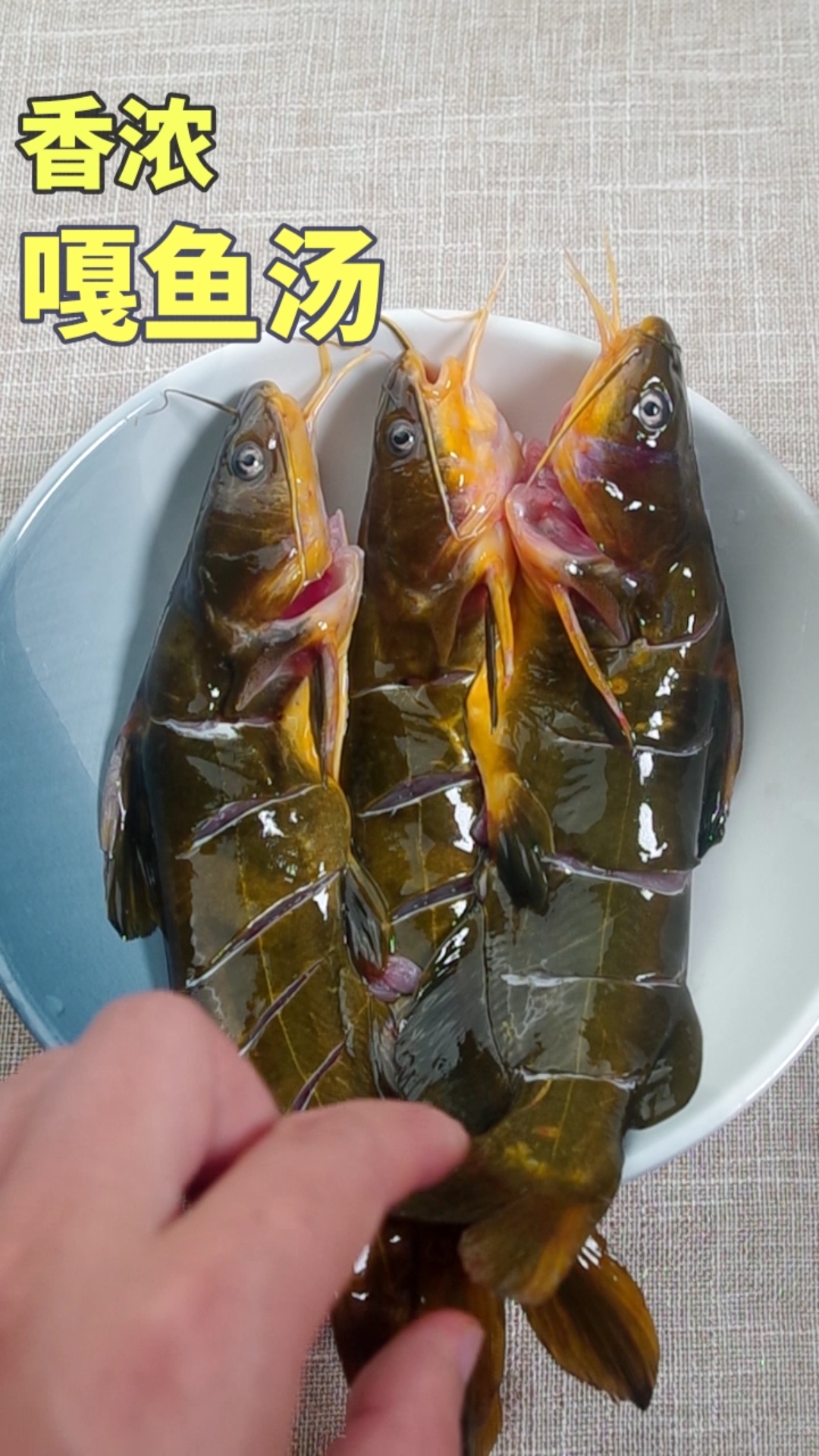 #无宵夜不夏天#嘎鱼汤做法,汤白味浓又营养