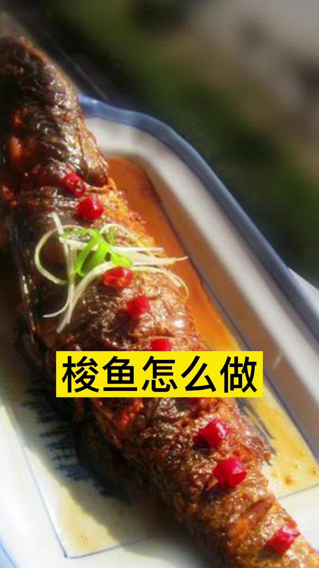 梭鱼怎么做,你明白了吗?