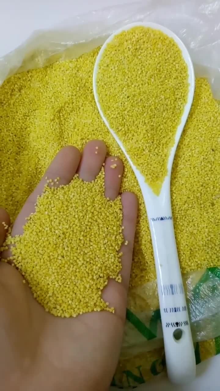 熬小米粥这样做,就会浓稠香甜,营养美味好