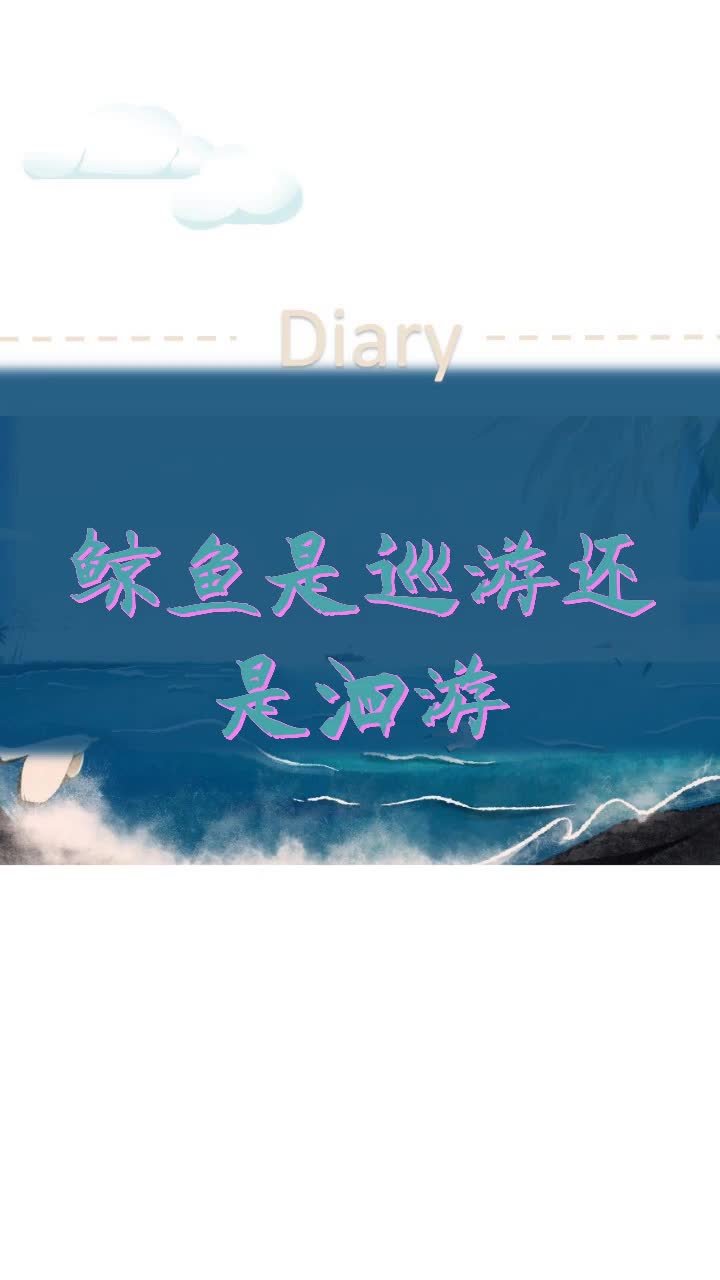 鲸鱼是巡游还是洄游