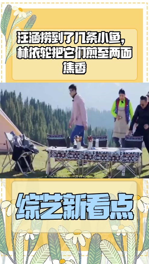 #明星综艺#汪涵捞到了几条小鱼,林依轮把它们煎至两面焦香