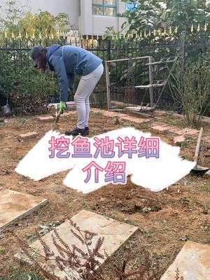 给本地客户设计的院子先挖鱼池,后续会陆续发布详细打造这个花园的施工视频,跟我一起建花园吧#