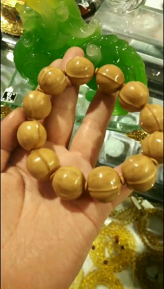 猴头 鲨鱼背