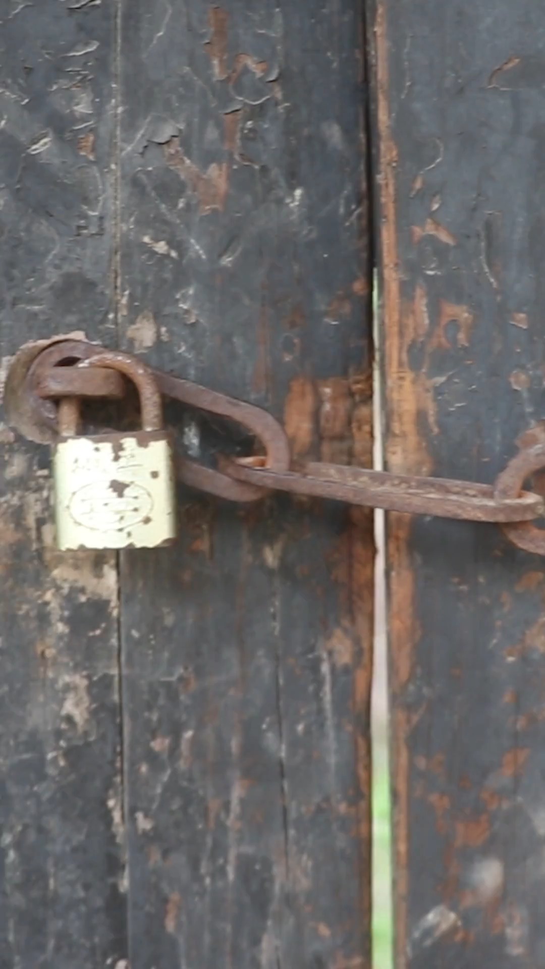 #搞笑段子#如花老师给同学们做“波霸珍珠奶茶”,比城里卖的还好喝!真开心