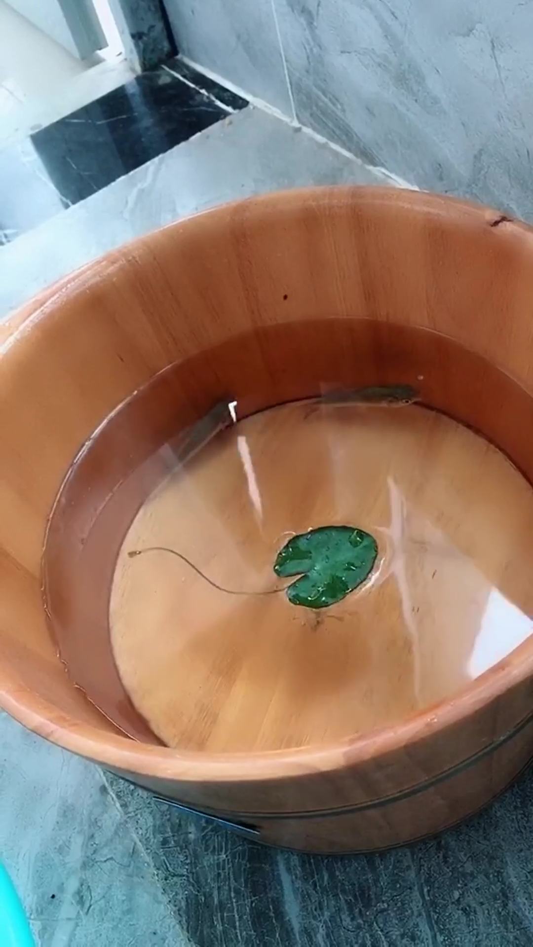 做个鱼疗应该没什么大不了