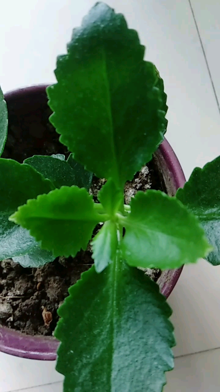 分享视频
