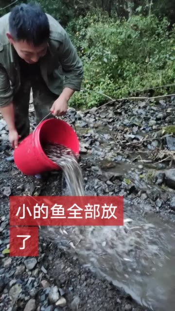 大一点的鱼留下,小一点的柳根鱼泥鳅等,都放了,不喜勿喷。