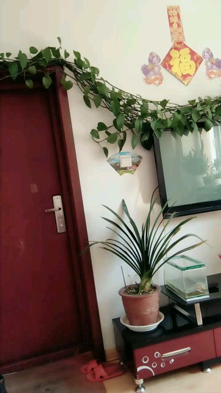 @全民小助手 家的味道