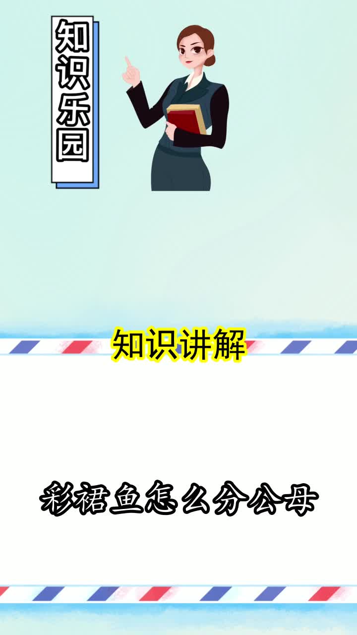 彩裙鱼怎么分公母,你学会了吗