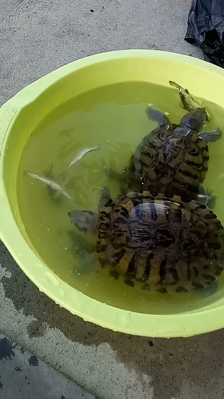 分享视频