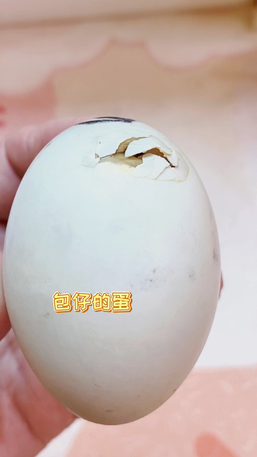 #我家萌宠成精了#鸭宝破壳出生啦！