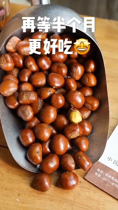 冲鸭!香喷喷的糖炒栗子出炉了!