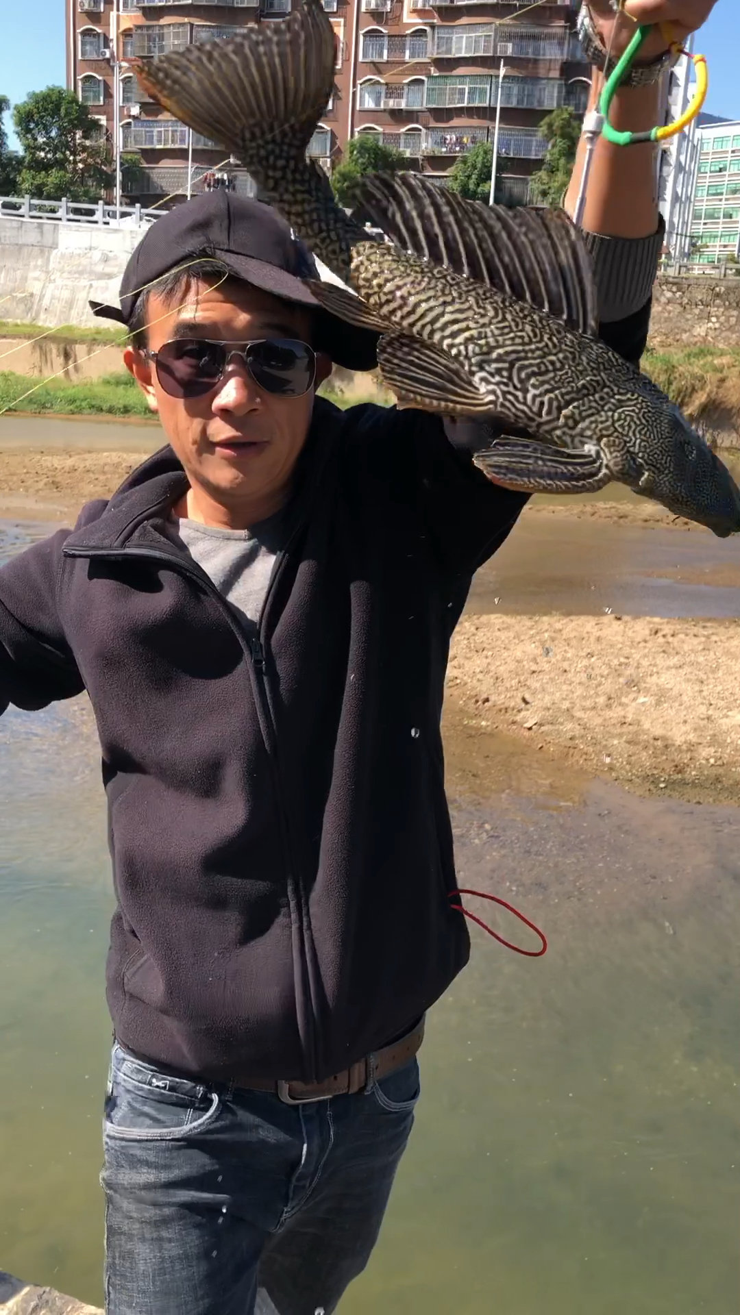 这鱼专吃本地鱼卵