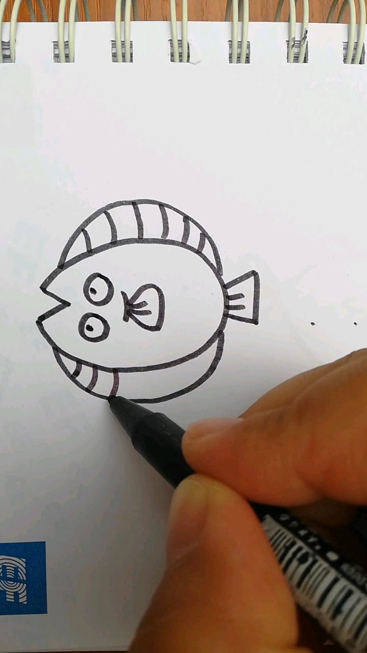 简笔画鱼～画了这么多,宝贝你学会了吗?