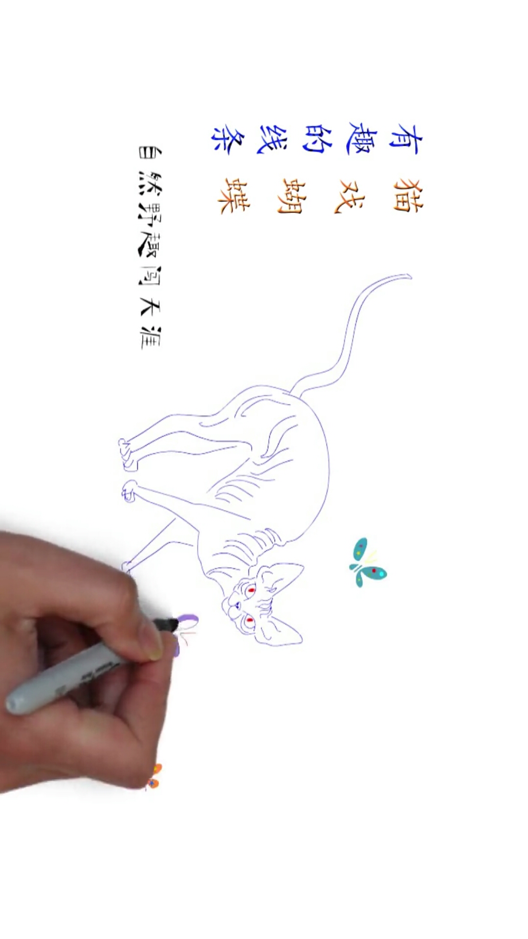 #优秀如我#有趣的线条,画画猫! (手绘 线条 画画 动画合成)
