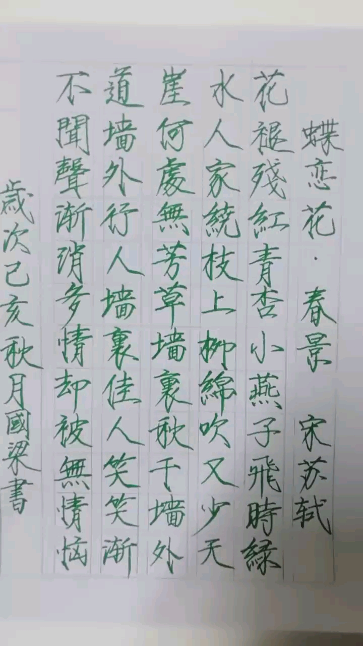 苏轼词《蝶恋花-春景》瘦金体楷书。