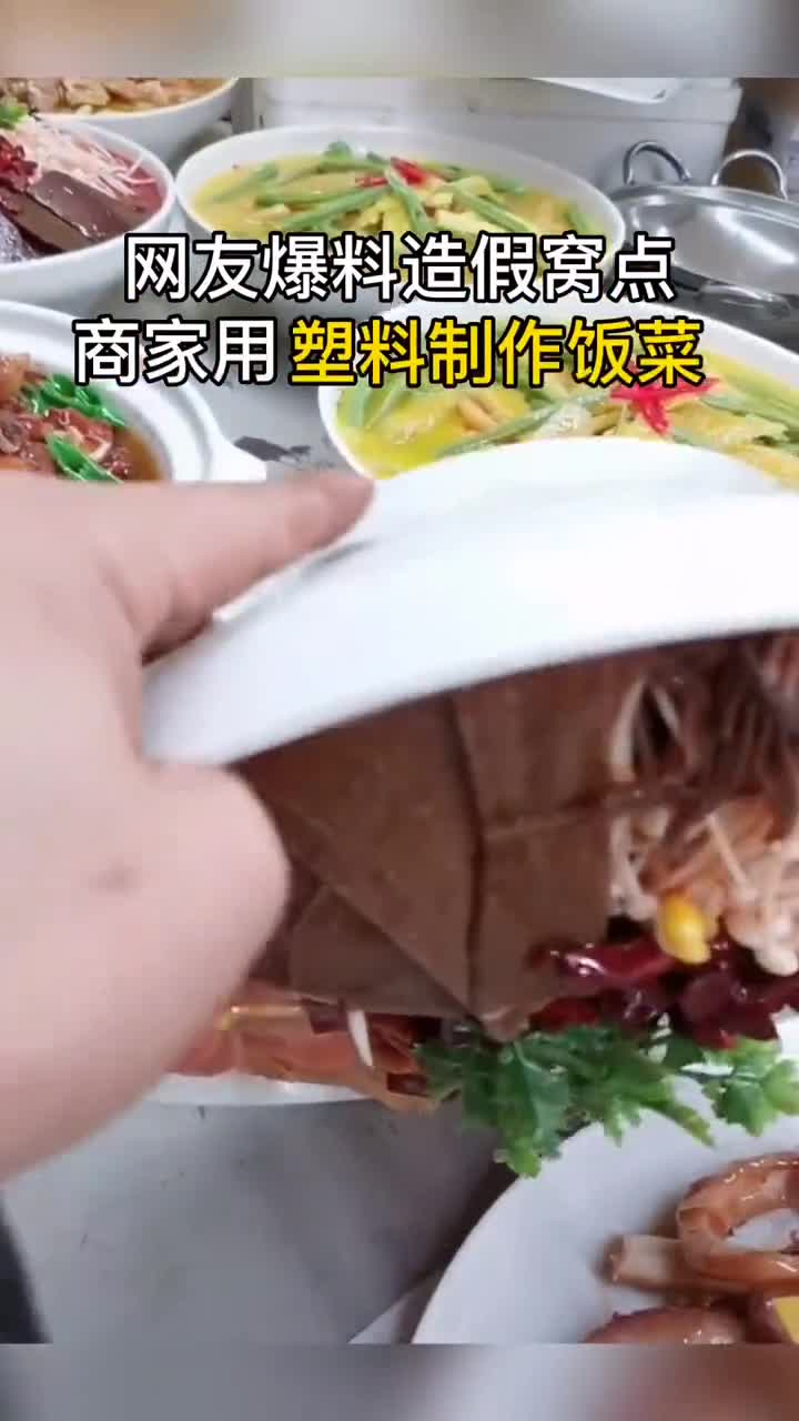 一道让人高攀不起的塑料假菜??