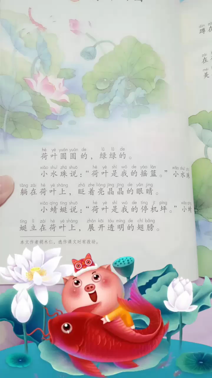 分享视频
