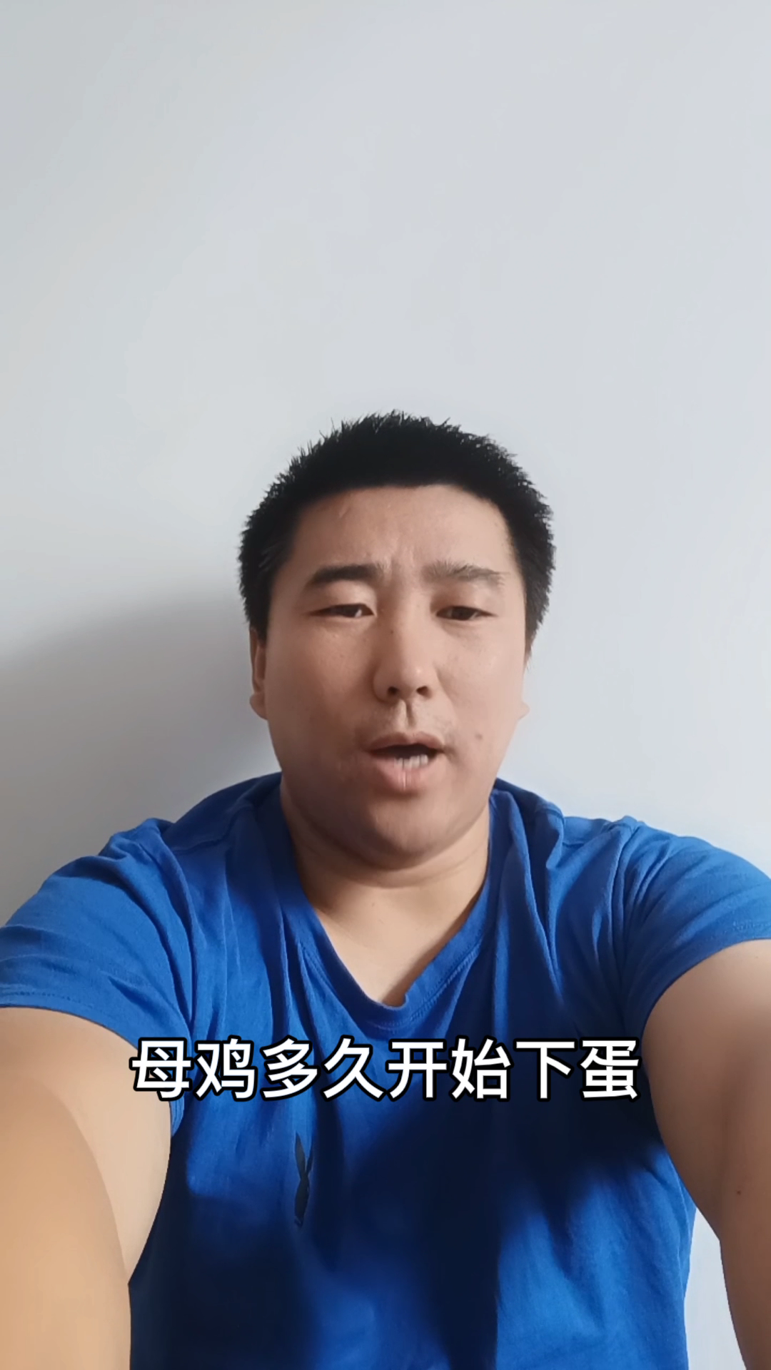 母鸡多久开始下蛋?