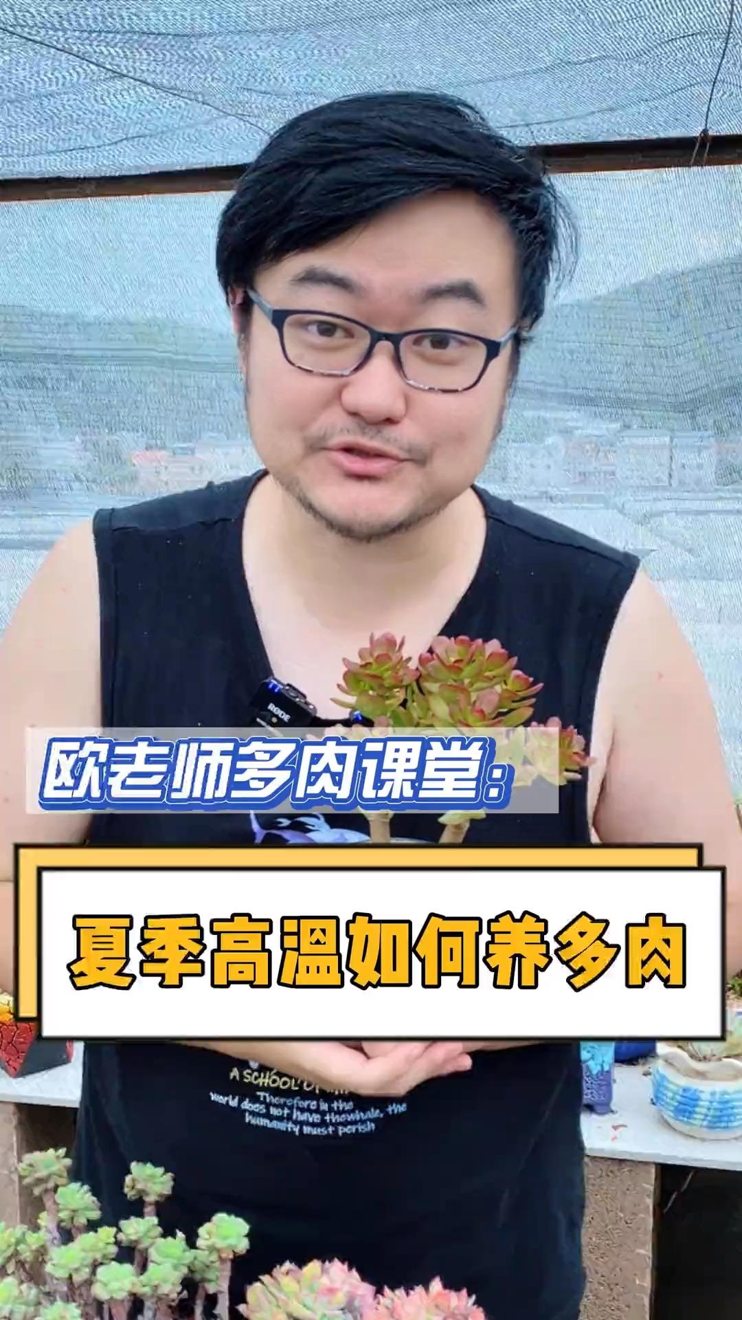 #有一种可爱叫多肉!#夏季高温要如何养多肉呢?这个视频告诉你#多肉 #多肉植物#多肉养护