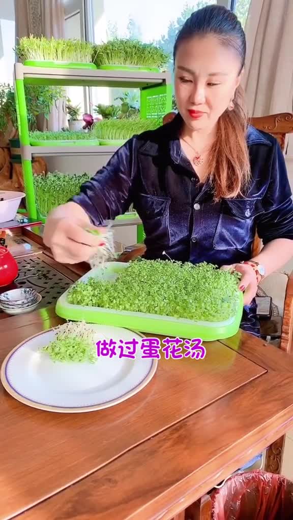 我家的宝宝天天都喝鸡毛菜蛋花汤!我是美食创作者