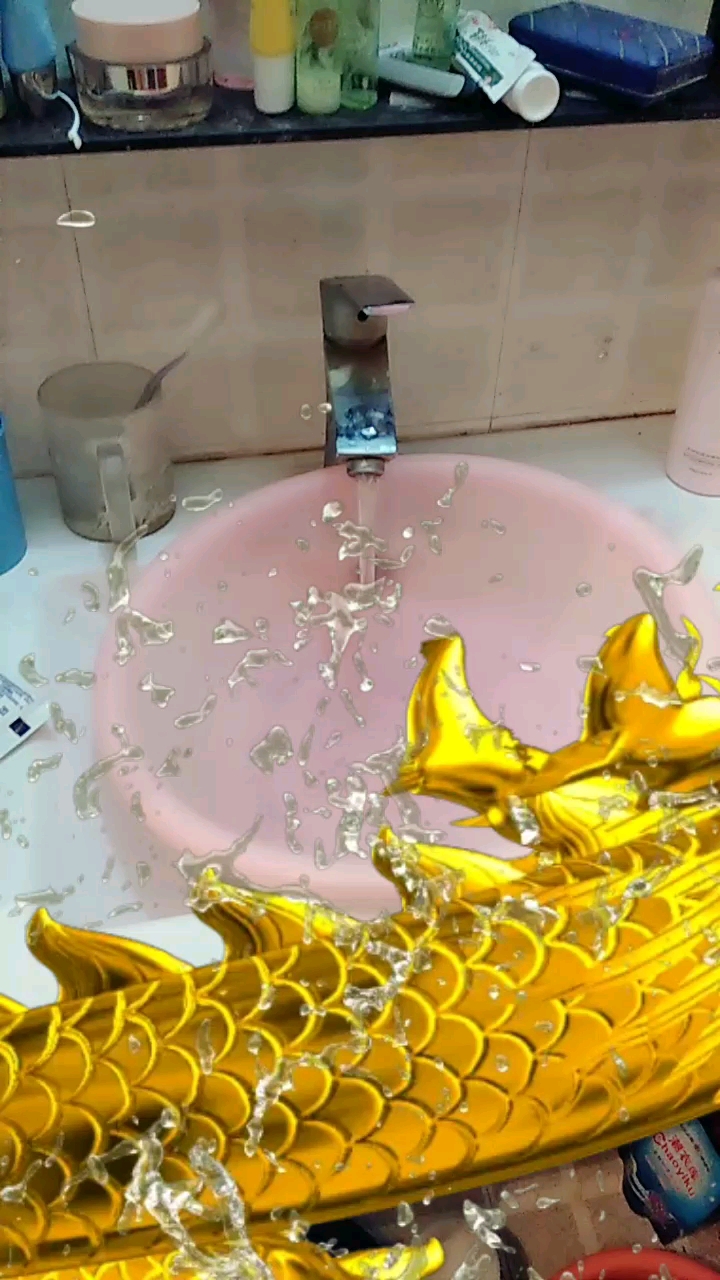 晚上做个梦,梦到一条大金鱼,把它放生了,还对鱼说话,鱼谢我的那一刻好感动!求解