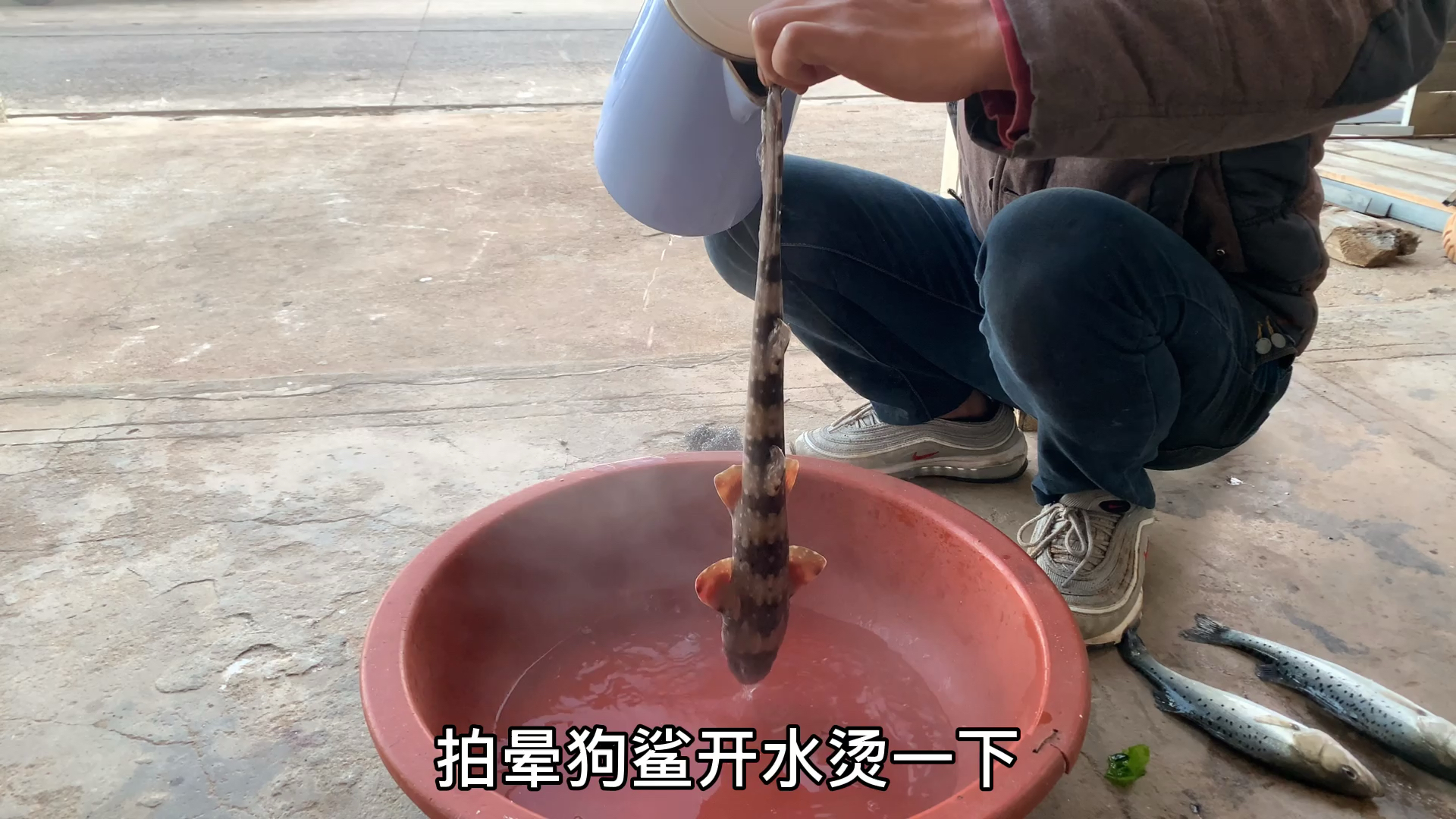 #舌尖上的乡村美食#高端的食材往往采用最简单的烹饪方式:清炖狗鲨、清蒸鲈鱼、白灼福螺、五花