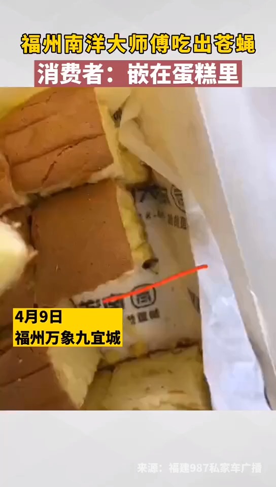 #我要上热门#福州南洋大师傅吃出苍蝇,消费者:“苍蝇都嵌在面包里了,感觉是一起烤熟的!”