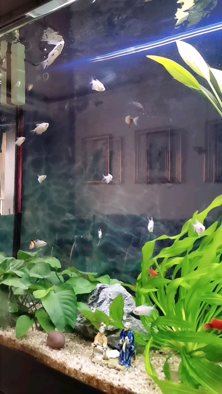 分享视频