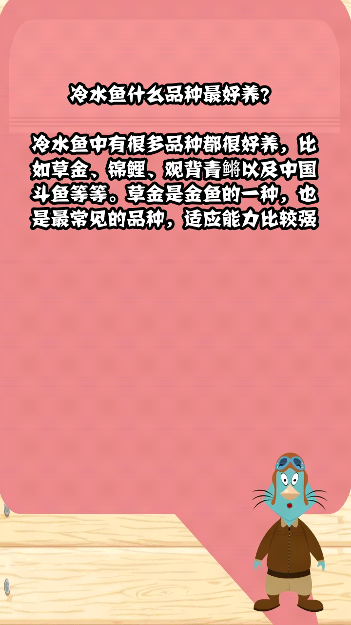 冷水鱼什么品种最好养?