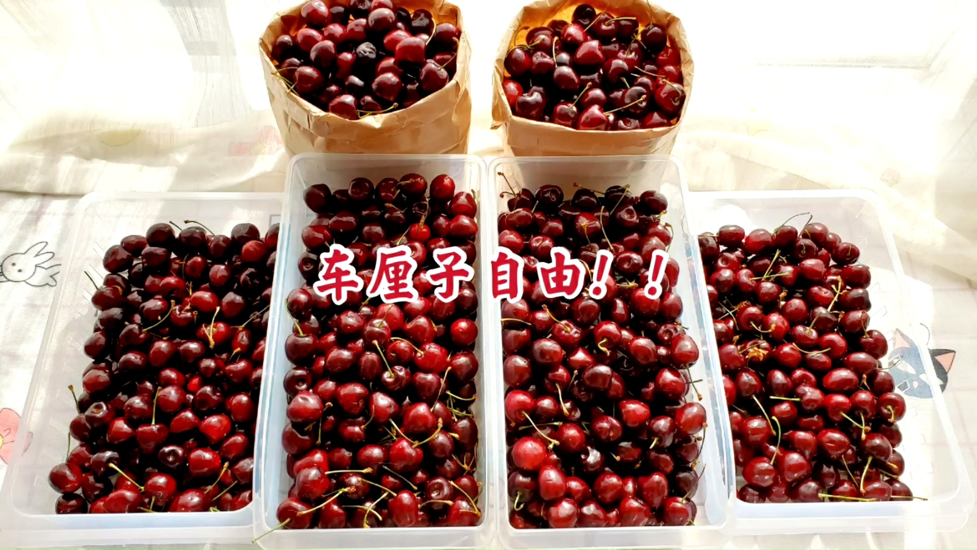 #自制美食#终于实现了车厘子自由！打包一些送给喜欢的人吧～