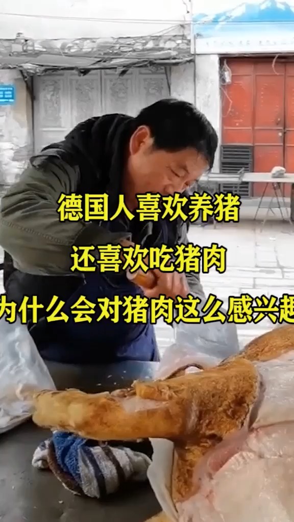 德国人喜欢养猪,还喜欢吃猪肉,为什么会对猪肉这么感兴趣!