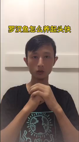 罗汉鱼怎么养起头快