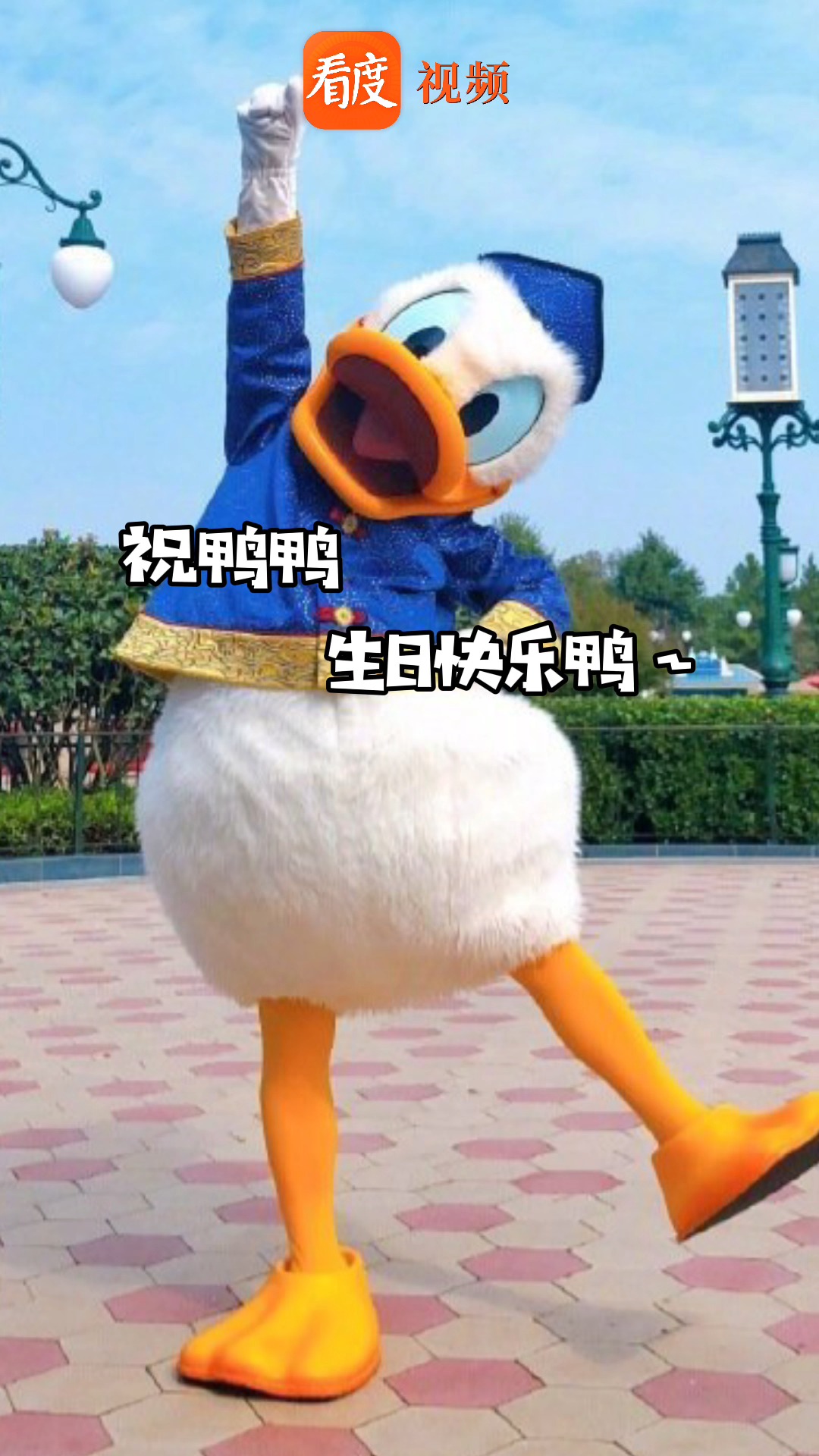 唐老鸭87岁了 !没想到可可爱爱的鸭鸭也是当爷爷的年龄啦!